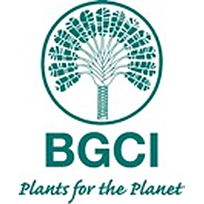 BCGI