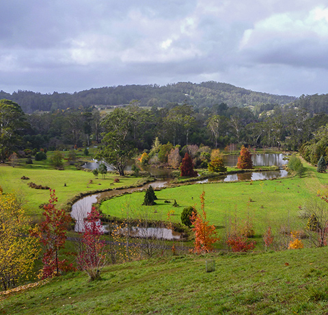 An autumn view of Founders Lake from Western Hill