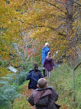 A volunteer educator leads some school children along a trail through The Tasmanian Arboretum