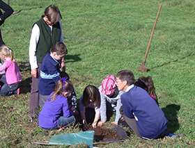 A group of school children help in planting a tree at The Tasmanian Arboretum