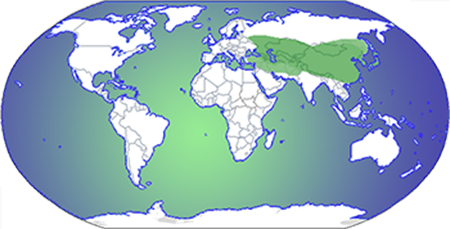 Asia & Himalayas highlighted on a map of the world