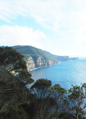 A view of east coast cliffs on the Tasman Peninsula