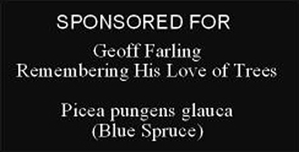Another sample of a tree sponsorship plaque